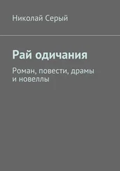 Николай Серый - Рай одичания. Роман, повести, драмы и новеллы