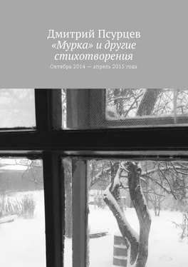 Дмитрий Псурцев «Мурка» и другие стихотворения. Октябрь 2014 – апрель 2015 года обложка книги