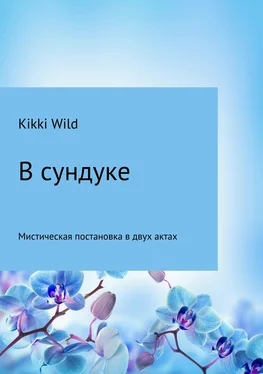 Kikki Wild В сундуке обложка книги