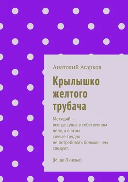 Анатолий Агарков Крылышко желтого трубача обложка книги