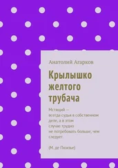 Анатолий Агарков - Крылышко желтого трубача