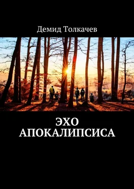 Демид Толкачев Эхо апокалипсиса обложка книги