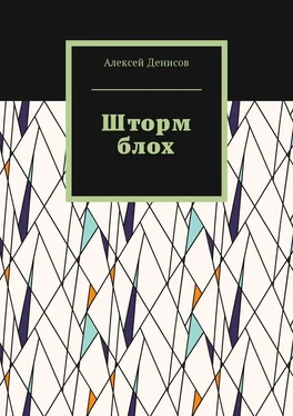 Алексей Денисов Шторм блох обложка книги