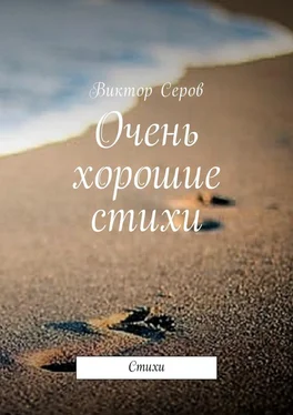 Виктор Серов Очень хорошие стихи. Стихи обложка книги