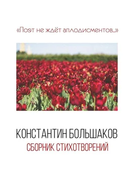 Константин Большаков Поэт не ждёт аплодисментов… Сборник стихотворений обложка книги