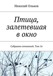 Николай Ольков - Птица, залетевшая в окно. Собрание сочинений. Том 16