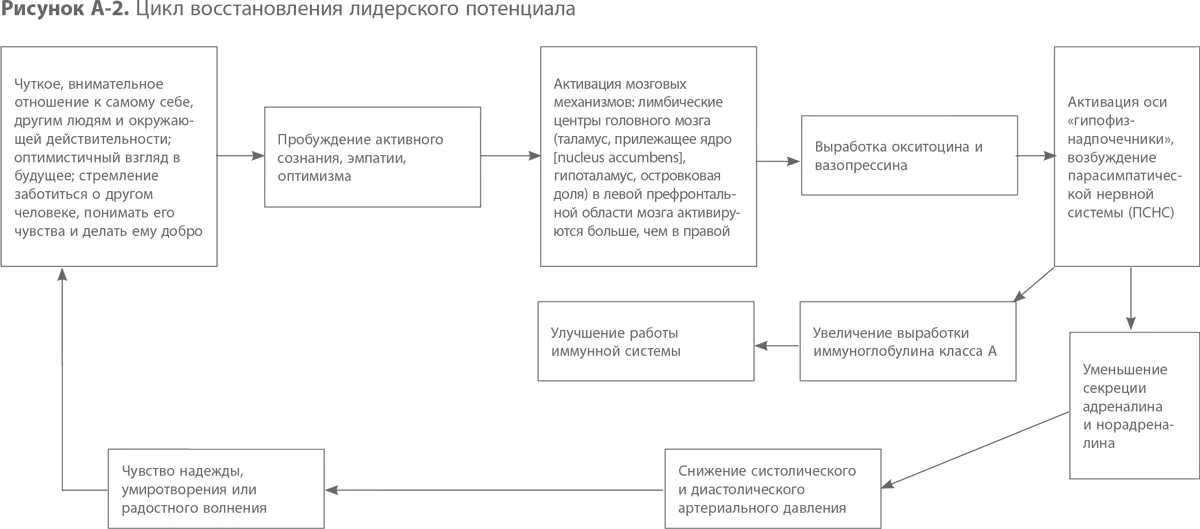 Ключевое значение для активизации ПСНС имеют забота и ласка Исследования - фото 7