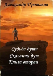 Александр Протасов - Судьба души. Сказания душ. Книга вторая