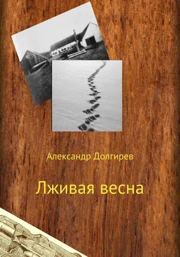Александр Долгирев Лживая весна обложка книги