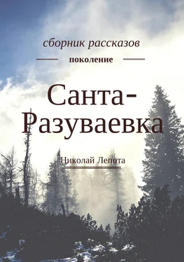 Николай Лепота Санта-Разуваевка. Сборник рассказов обложка книги