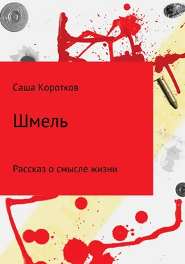 Александр Коротков Шмель обложка книги