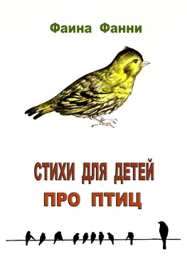 Фаина Фанни Стихи для детей про птиц обложка книги