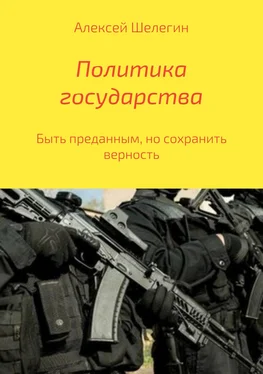 Алексей Шелегин Политика государства обложка книги