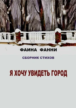 Фаина Фанни Я хочу увидеть город. Сборник стихов обложка книги