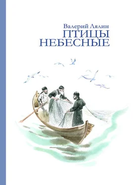Валерий Лялин Птицы небесные (сборник) обложка книги