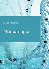 Анна Калаур - Миниатюры