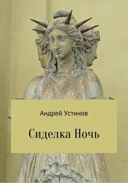 Андрей Устинов Сиделка Ночь обложка книги