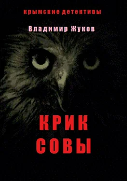 Владимир Жуков Крик совы обложка книги