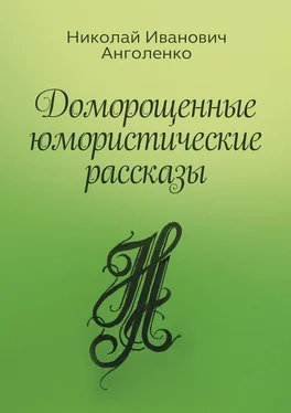 Николай Анголенко Доморощенные юмористические рассказы обложка книги