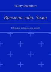 Valery Kuzminov - Времена года. Зима. Сборник загадок для детей