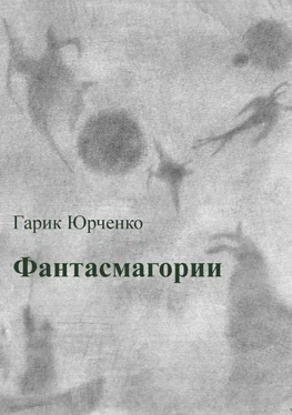 Гарик Юрченко Фантасмагории. Сборник стихотворений обложка книги