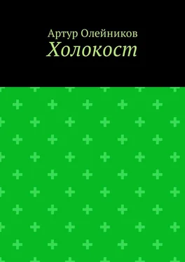 Артур Олейников Холокост обложка книги