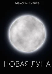 Максим Китаев - Новая луна