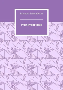 Бауржан Тойшибеков Стихотворения обложка книги