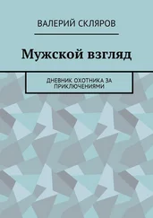 Валерий Скляров - Мужской взгляд. Дневник охотника за приключениями