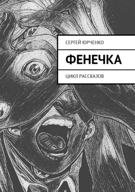 Сергей Юрченко Фенечка. Цикл рассказов обложка книги