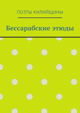 Михаил Большаков Бессарабские этюды обложка книги