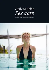 Vitaly Mushkin - Sex gate. Water, fire and pipe-vaginas