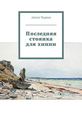 Антон Чернов Последняя стоянка для хиппи обложка книги