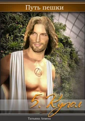 Татьяна Лемеш - Путь пешки. 5. Купол