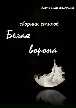 Елизавета Охрименко Белая ворона. Сборник стихов обложка книги