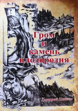 Дмитрий Паньков Гром и камень плодородия обложка книги