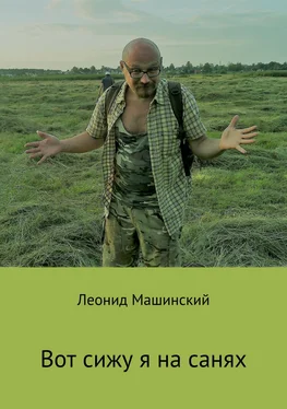 Леонид Машинский Вот сижу я на санях обложка книги