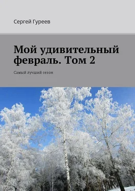 Сергей Гуреев Мой удивительный февраль. Том 2. Самый лучший сезон обложка книги