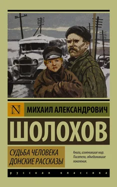 Михаил Шолохов Судьба человека. Донские рассказы (сборник) обложка книги