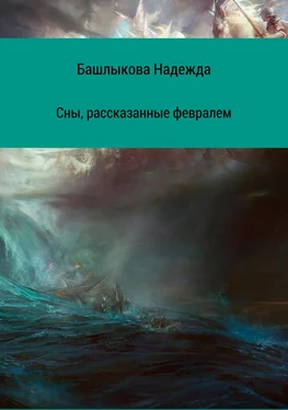 Надежда Башлыкова Сны, рассказанные февралем. Сборник рассказов обложка книги