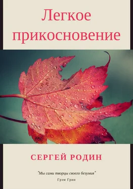 Сергей Родин Легкое прикосновение обложка книги