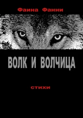 Фаина Фанни - Волк и волчица. Сборник стихотворений