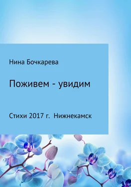 Нина Бочкарева Поживем – увидим обложка книги