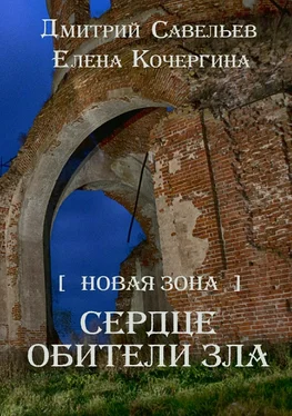 Дмитрий Савельев Новая Зона. Сердце обители зла обложка книги