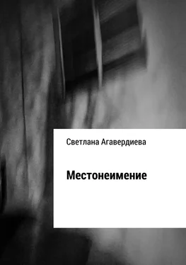 Светлана Агавердиева Местонеимение. Сборник рассказов обложка книги