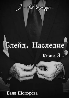 Валя Шопорова Блейд. Наследие. Книга 3 обложка книги