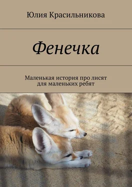 Юлия Красильникова Фенечка. Маленькая история про лисят для маленьких ребят обложка книги