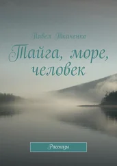 Павел Ткаченко - Тайга, море, человек. Рассказы