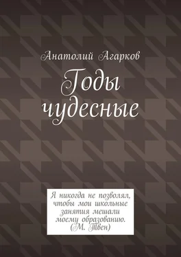 Анатолий Агарков Годы чудесные обложка книги