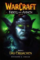 Richard Knaak - Das Erwachen